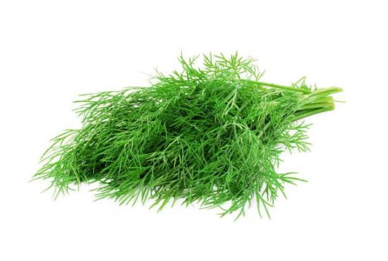 dill